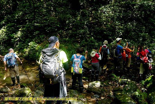 P1780535.jpg P1780535.jpg