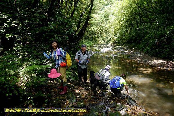 P1780536.jpg P1780536.jpg