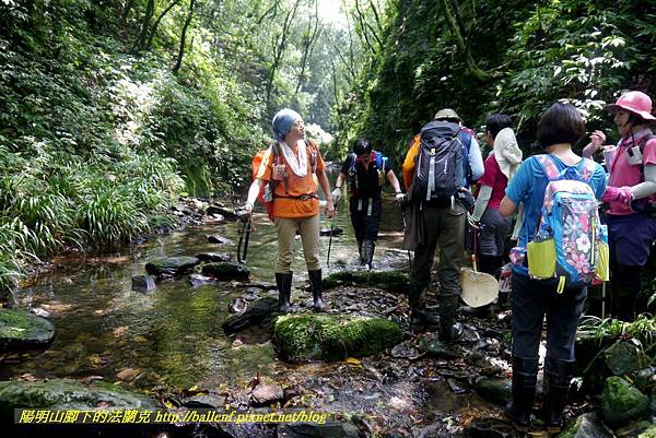 P1780538.jpg P1780538.jpg