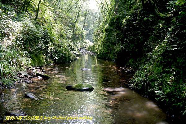 P1780539.jpg P1780539.jpg