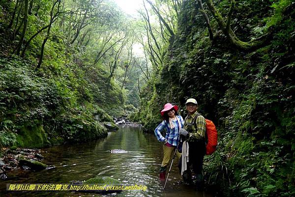 P1780540.jpg P1780540.jpg