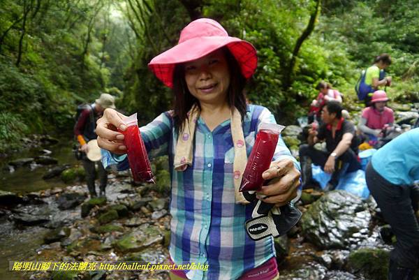 P1780546.jpg P1780546.jpg