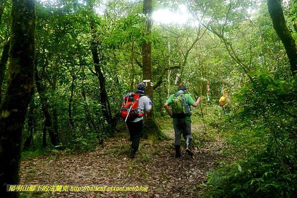 P1780558.jpg P1780558.jpg