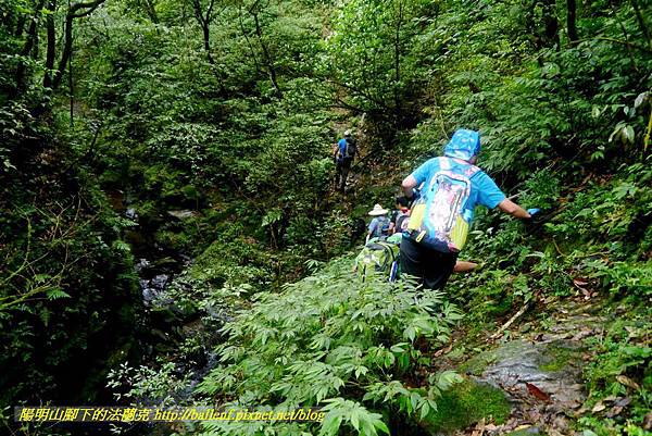 P1780560.jpg P1780560.jpg