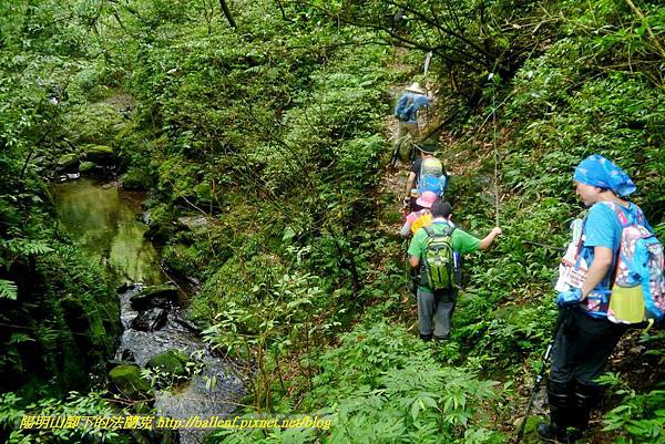 P1780561.jpg P1780561.jpg