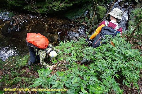 P1780562.jpg P1780562.jpg