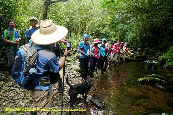 P1780564.jpg P1780564.jpg