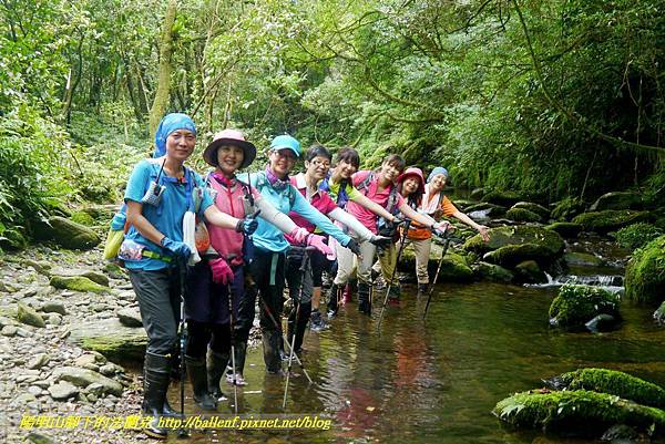 P1780565.jpg P1780565.jpg