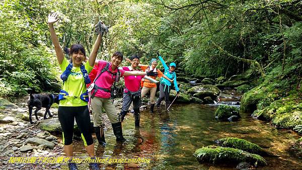 P1780566 (1).jpg P1780566 (1).jpg