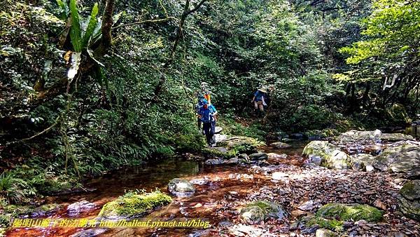 P1780566 (4).jpg P1780566 (4).jpg