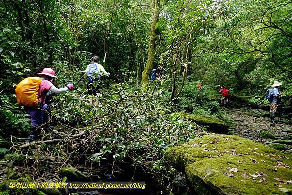 P1780567.jpg P1780567.jpg