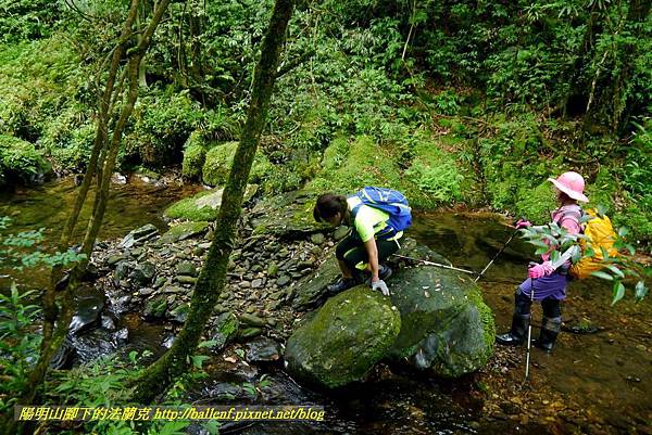 P1780569.jpg P1780569.jpg