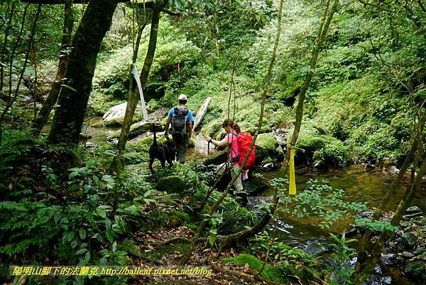 P1780570.jpg P1780570.jpg