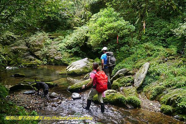 P1780571.jpg P1780571.jpg