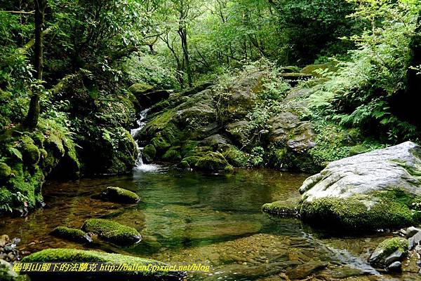 P1780572.jpg P1780572.jpg