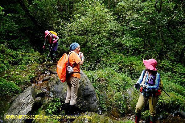 P1780573.jpg P1780573.jpg