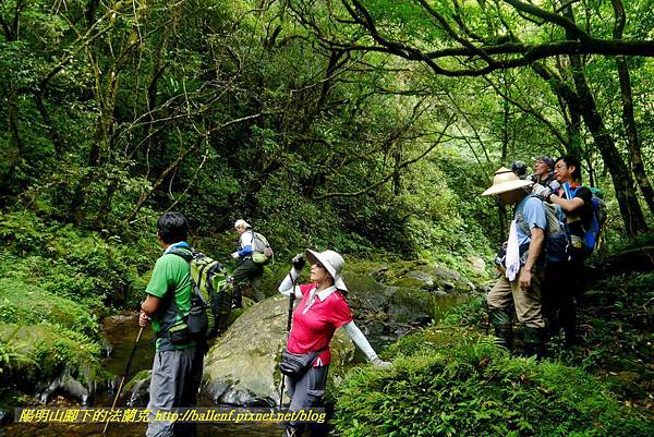 P1780574.jpg P1780574.jpg