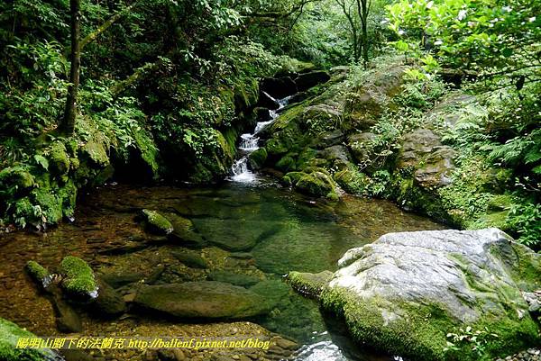 P1780575.jpg P1780575.jpg