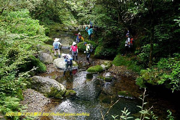 P1780577.jpg P1780577.jpg