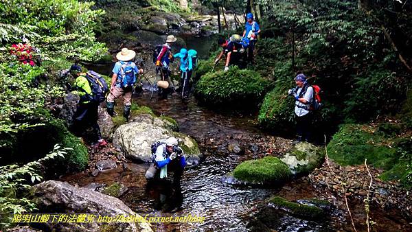 P1780577-1.jpg P1780577-1.jpg