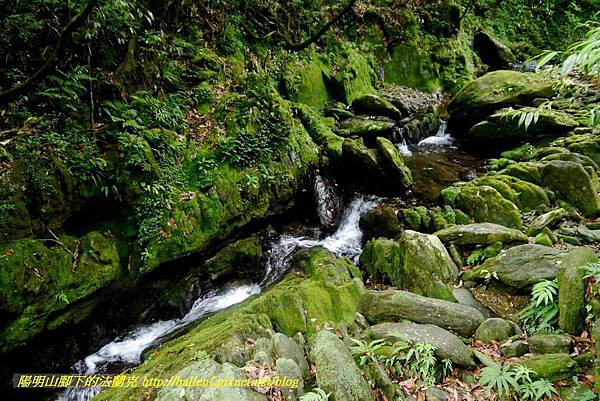 P1780578.jpg P1780578.jpg