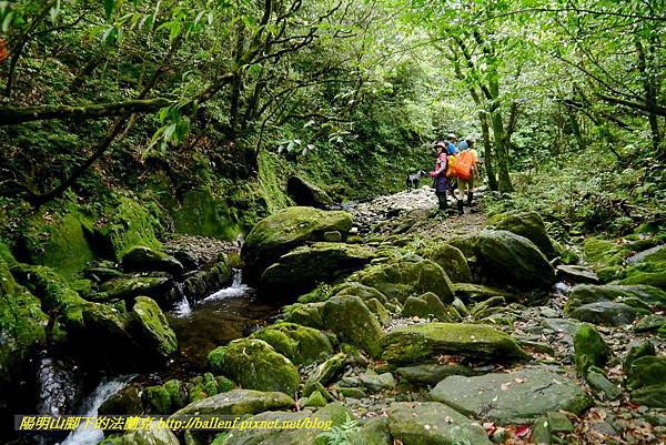 P1780579.jpg P1780579.jpg