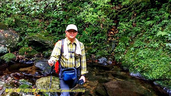 P1780580.jpg P1780580.jpg