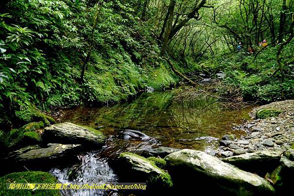 P1780583.jpg P1780583.jpg