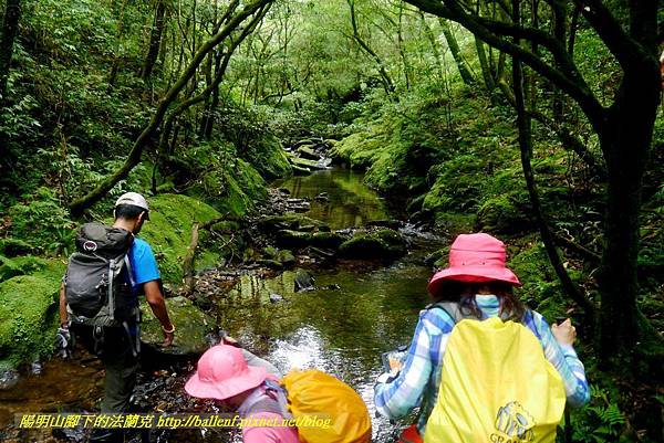 P1780584.jpg P1780584.jpg