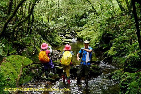 P1780585.jpg P1780585.jpg