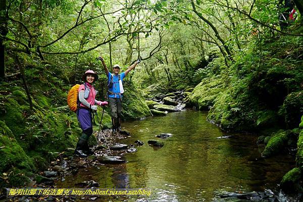 P1780587.jpg P1780587.jpg