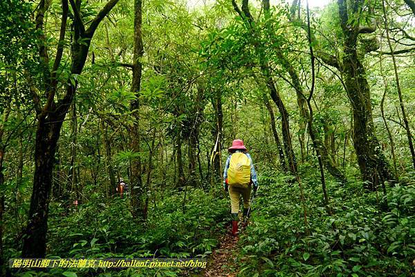 P1780588.jpg P1780588.jpg