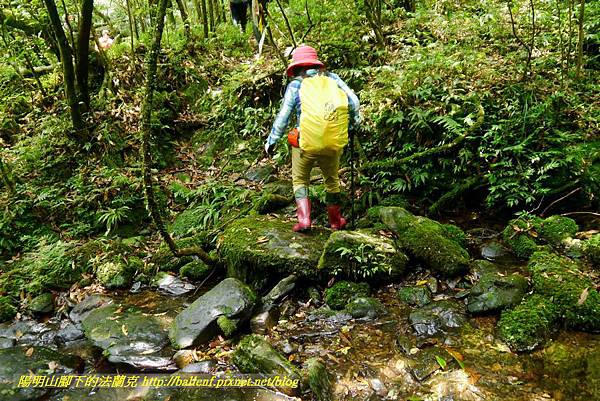 P1780589.jpg P1780589.jpg