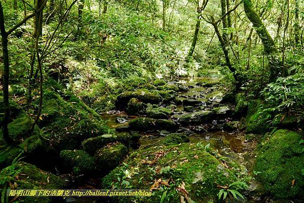 P1780590.jpg P1780590.jpg