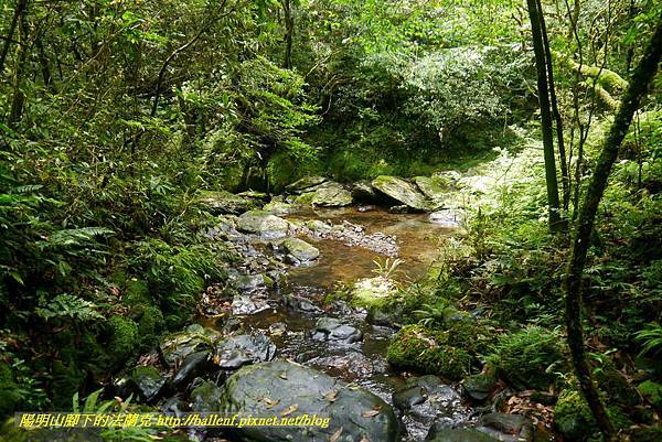 P1780591.jpg P1780591.jpg