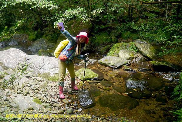 P1780593.jpg P1780593.jpg