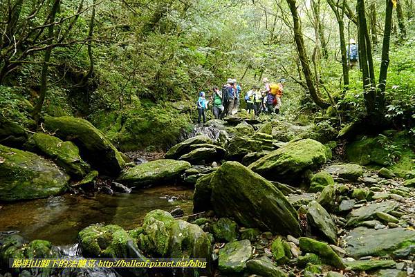 P1780596.jpg P1780596.jpg