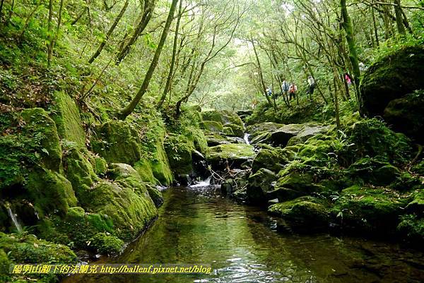 P1780597.jpg P1780597.jpg