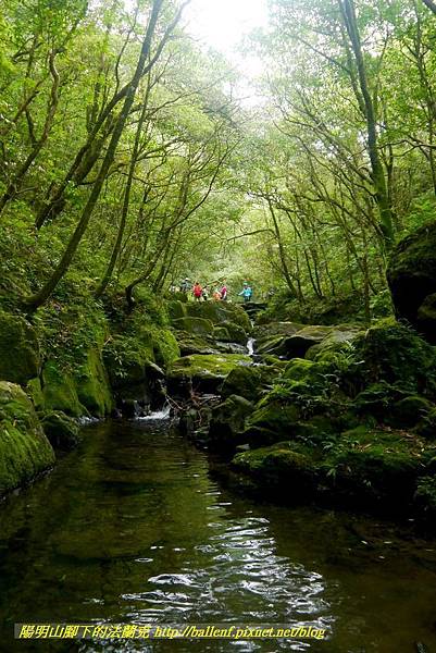 P1780599.jpg P1780599.jpg