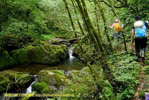 P1780602.jpg P1780602.jpg