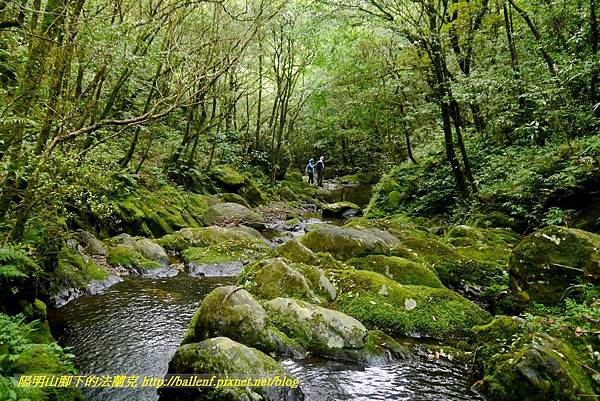 P1780603.jpg P1780603.jpg