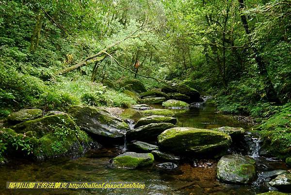 P1780604.jpg P1780604.jpg