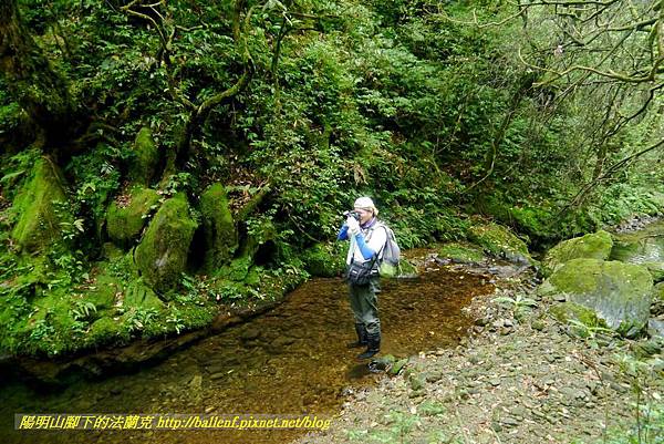 P1780607.jpg P1780607.jpg