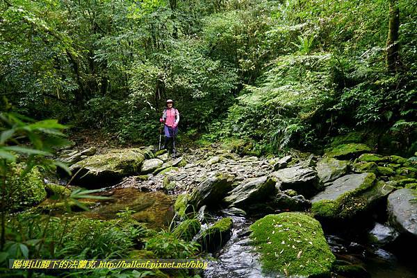 P1780608.jpg P1780608.jpg