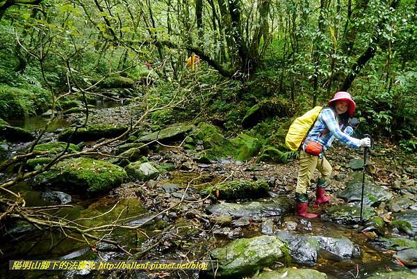 P1780609.jpg P1780609.jpg