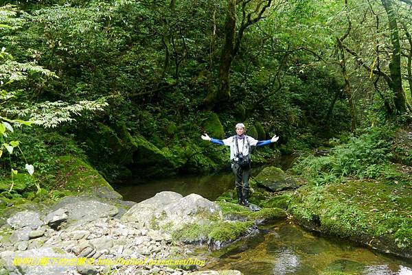 P1780610.jpg P1780610.jpg