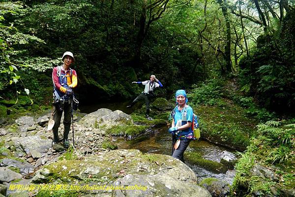 P1780611.jpg P1780611.jpg