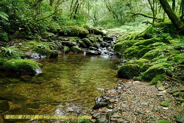 P1780612.jpg P1780612.jpg