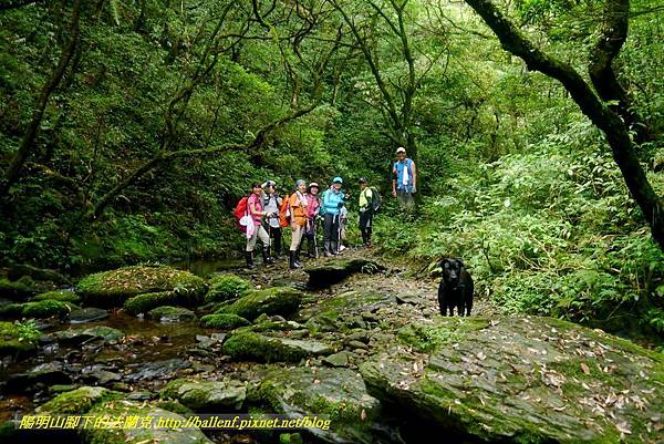 P1780613.jpg P1780613.jpg