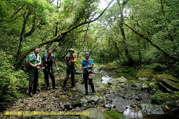 P1780614.jpg P1780614.jpg